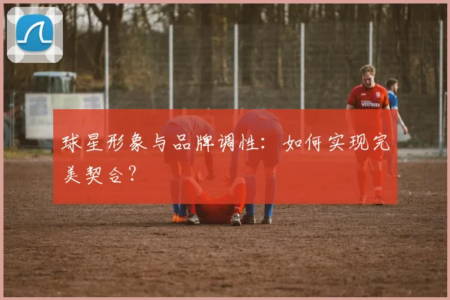 球星形象与品牌调性:如何实现完美契合?