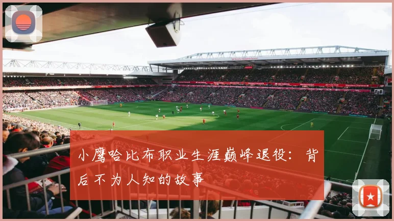 小鹰哈比布职业生涯巅峰退役：背后不为人知的故事