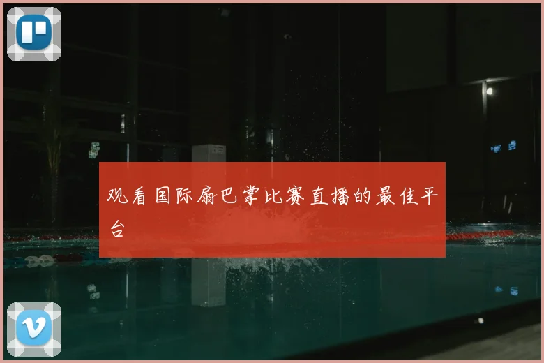 观看国际扇巴掌比赛直播的最佳平台