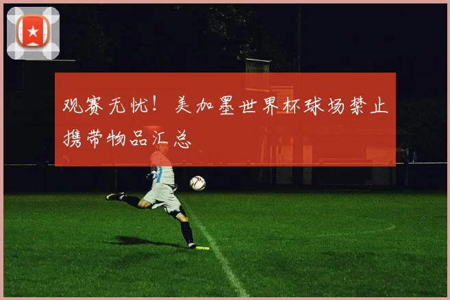 观赛无忧！美加墨世界杯球场禁止携带物品汇总