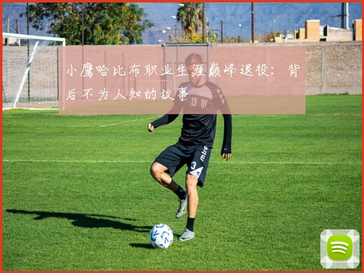 小鹰哈比布职业生涯巅峰退役：背后不为人知的故事